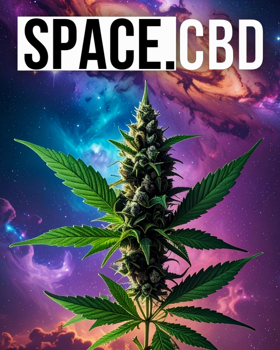 Space CBD — prémiové CBD květy a THC-X produkty